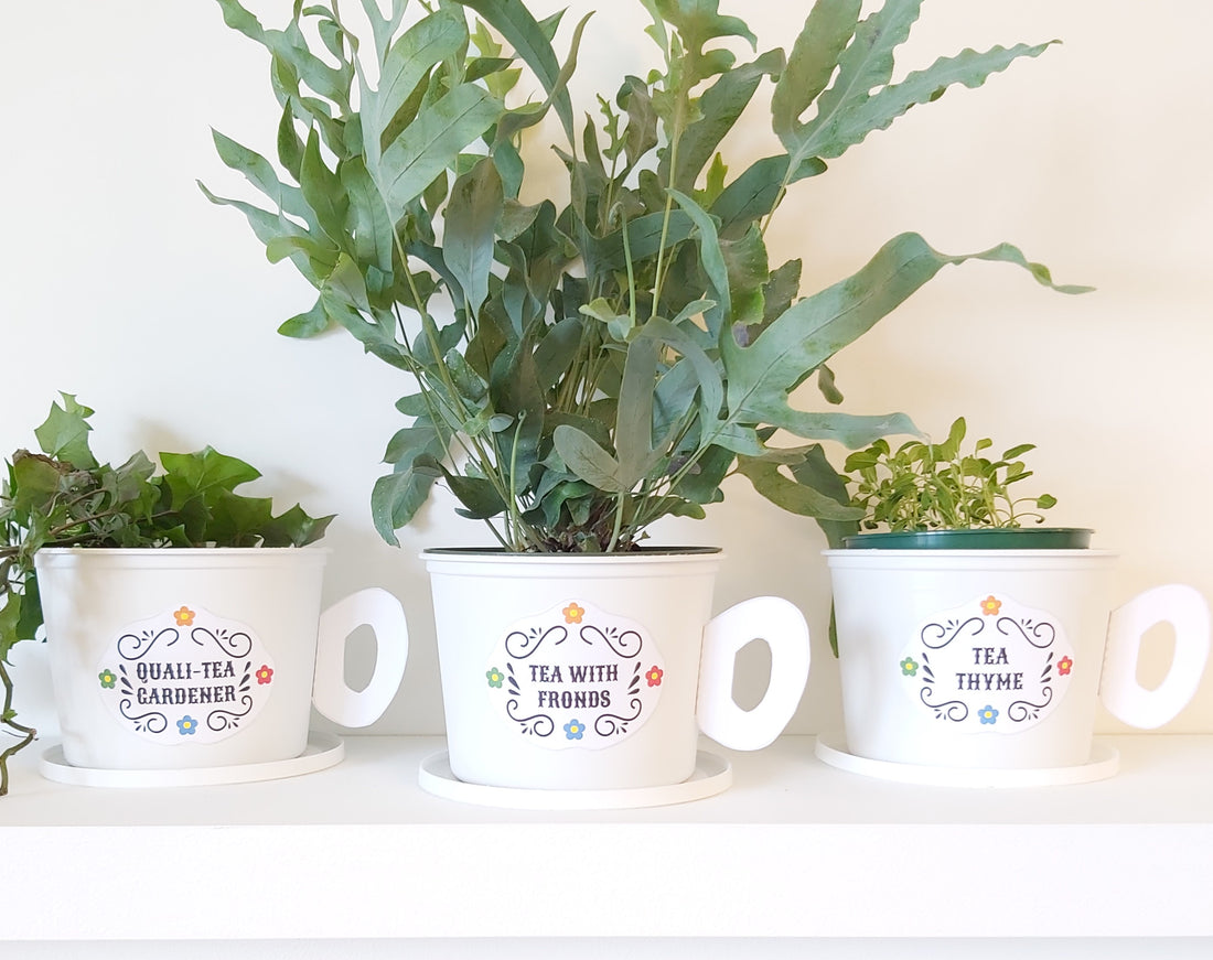 Tea Cup Planter Pot